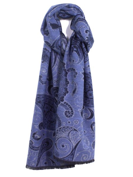 Beautiful Modern Paisley Brushed Silk Scarf